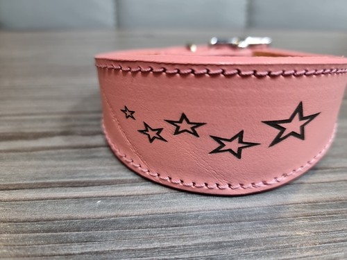 Italian greyhound collar - greyhound,