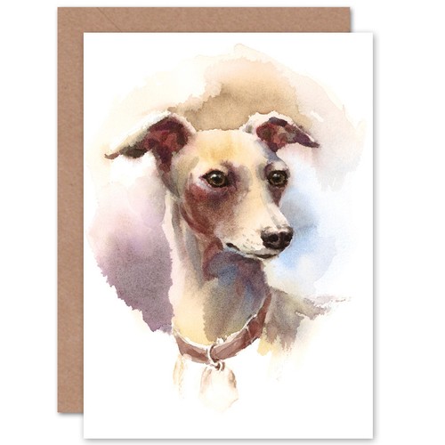 Dog italian greyhound - italian,
