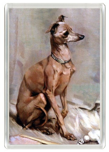 Italian greyhound dog fridge - italian,