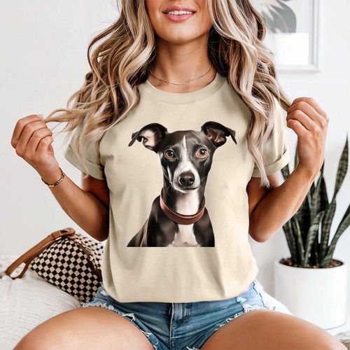 Italian greyhound life - italian,