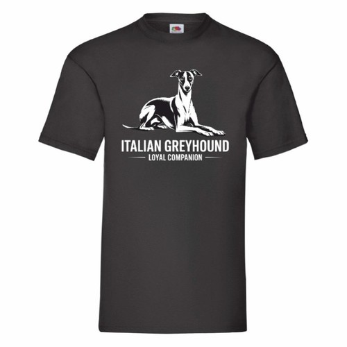 Italian greyhound loyal - italian,