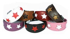 Leather Whippet Collar
