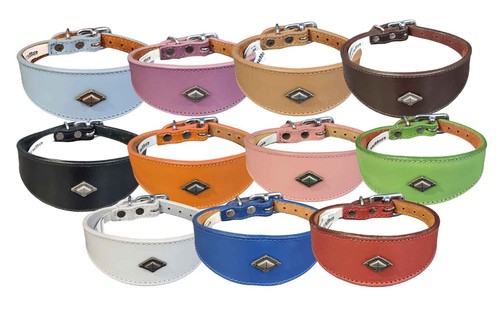 Leather collar for whippet - leather,