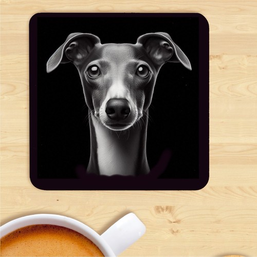 Italian greyhound coaster dog - greyhound,