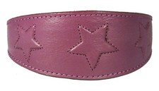 ITALIAN GREYHOUND COLLAR SUEDE