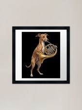 Italian Greyhound Playing