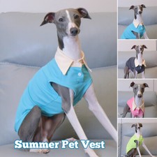 Summer Thin Dog Lapel Shirt