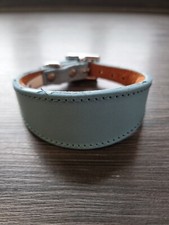 Italian Greyhound collar 10-12