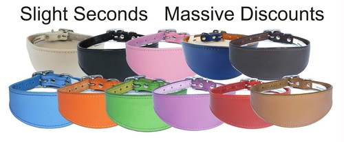 Italian greyhound collar - italian,