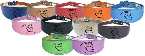 Dog collar italian greyhound - collar,