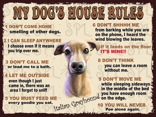 Dog house rules - dog's, italian