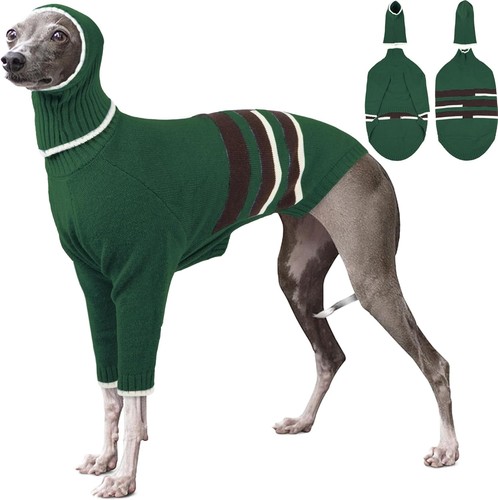 Italian greyhound sweater - italian,