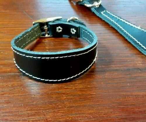 Leather italian greyhound - leather, greyhound/