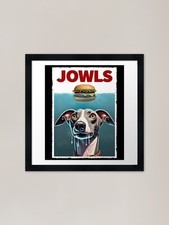 Funny Italian Greyhound and