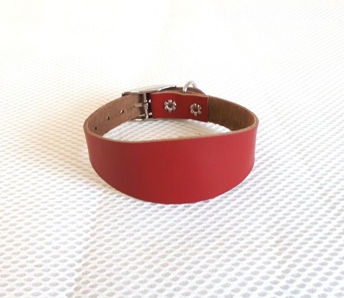 Leather italian greyhound - leather,