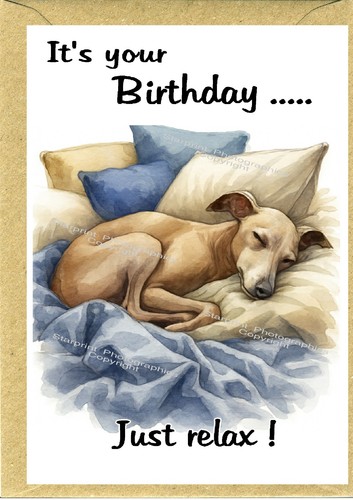 Italian greyhound dog birthday - italian,