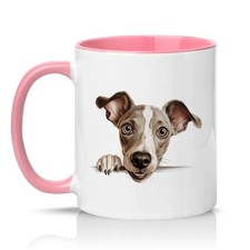 Cute Peeking Whippet Dog