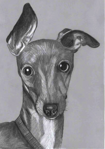 Original pencil drawing - drawing, art