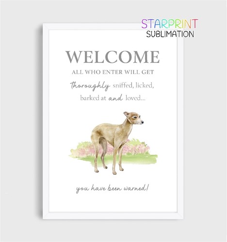 Italian greyhound unframed - greyhound,