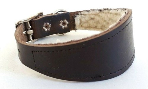Leather italian greyhound - italian, greyhound/